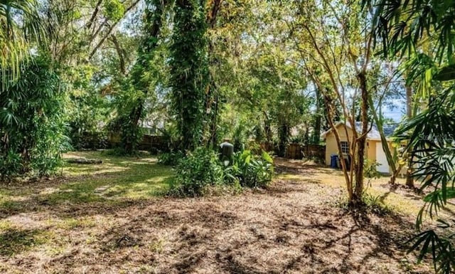 2902 Little Rd, Valrico, FL 33596 - view of yard featuring fence