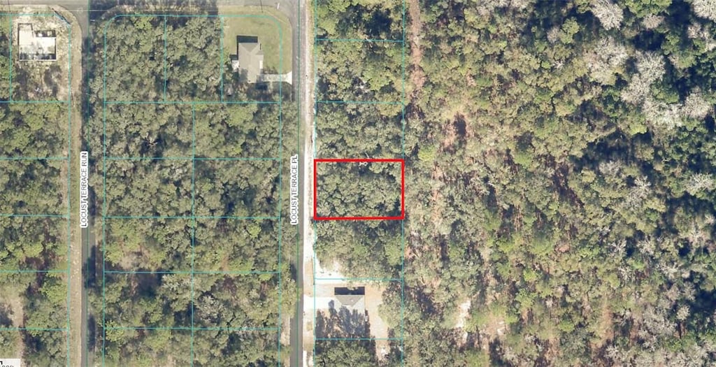 Locust Terrace Place, Ocala, FL 34472 - photo 1