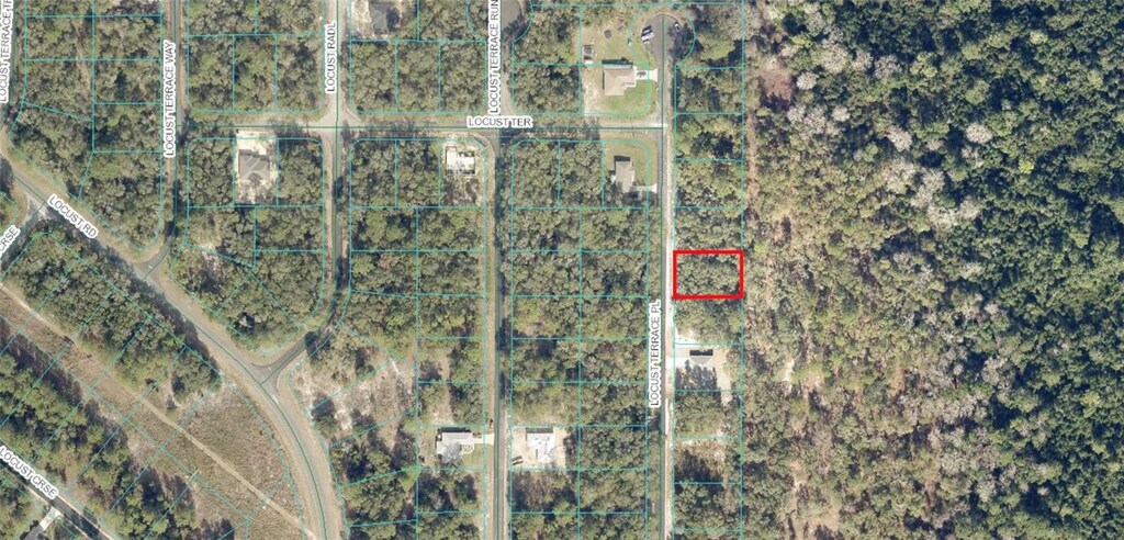 Locust Terrace Place, Ocala, FL 34472 - photo 4