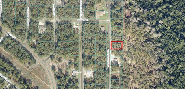 Locust Terrace Place, Ocala, FL 34472 - photo 4