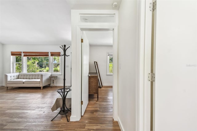 913 Tennessee Ln, Sarasota, FL 34234 - hallway with plenty of natural light, wood finished floors, and baseboards