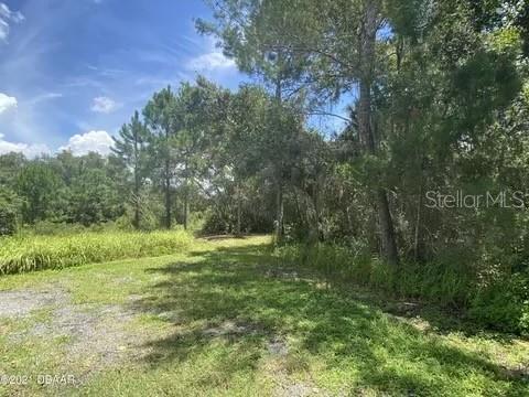 111 Butler Ridge Ct, Deltona, FL 32738 - photo 4