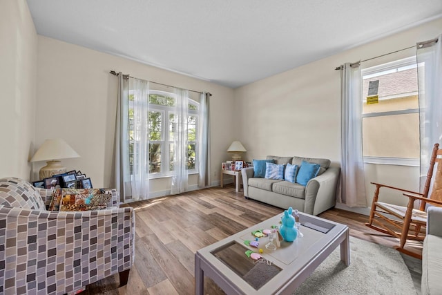 235 Largovista Dr, Oakland, FL 34787 - living area featuring wood finished floors