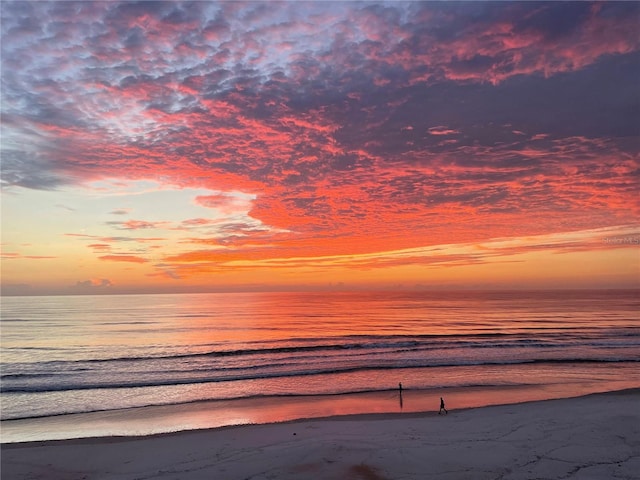 5203 S Atlantic Ave Unit 416B, New Smyrna Beach, FL 32169 - water view featuring local beach