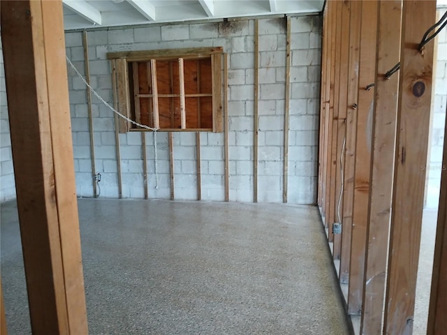 316 Country Club Dr, Oldsmar, FL 34677 - basement with concrete block wall