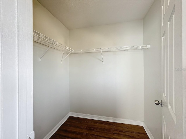 1176 Liberty Hall Dr, Kissimmee, FL 34746 - walk in closet with dark wood-style flooring
