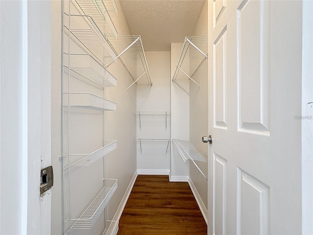 1176 Liberty Hall Dr, Kissimmee, FL 34746 - walk in closet featuring dark wood finished floors