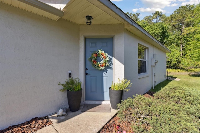 doorway to property with a yard and stucco siding