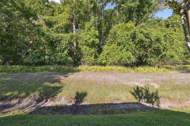 view of yard featuring a wooded view