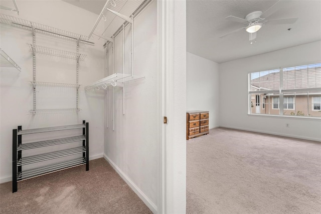 4897 Cypress Woods Dr Unit 6314, Orlando, FL 32811 - walk in closet with a ceiling fan and carpet floors