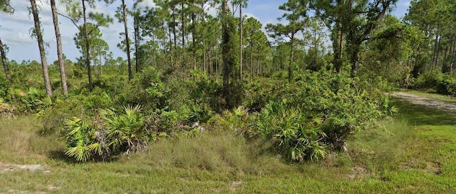 13457 Delray Dr, Punta Gorda, FL 33955