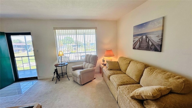 carpeted living area with baseboards and a textured ceiling