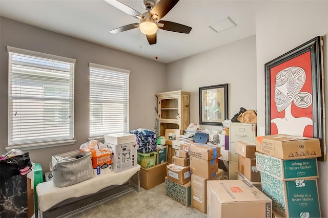 storage featuring ceiling fan