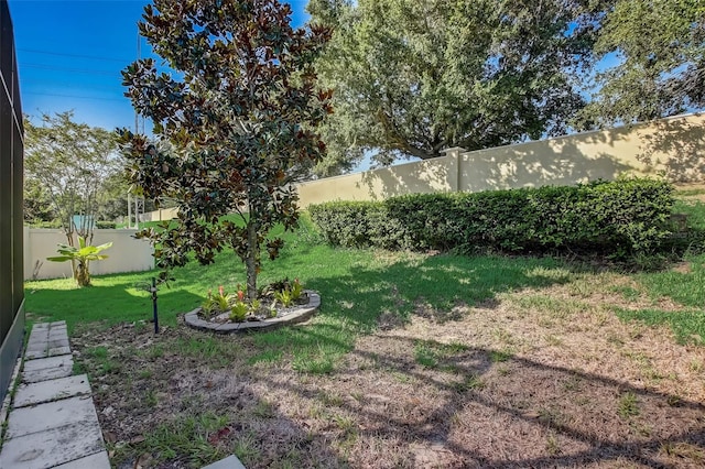 view of yard with a fenced backyard