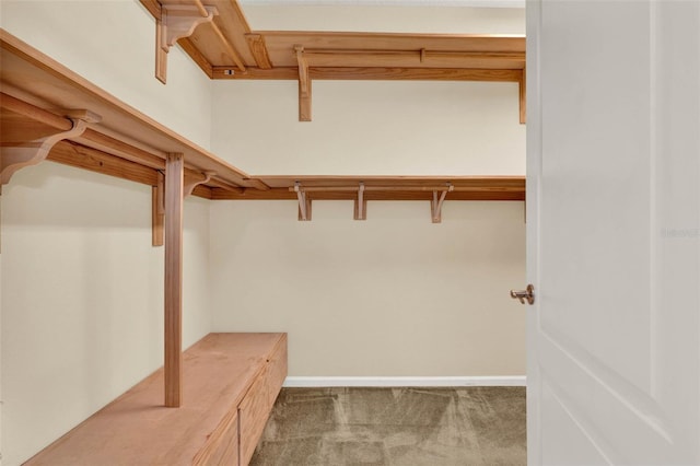 spacious closet with carpet floors