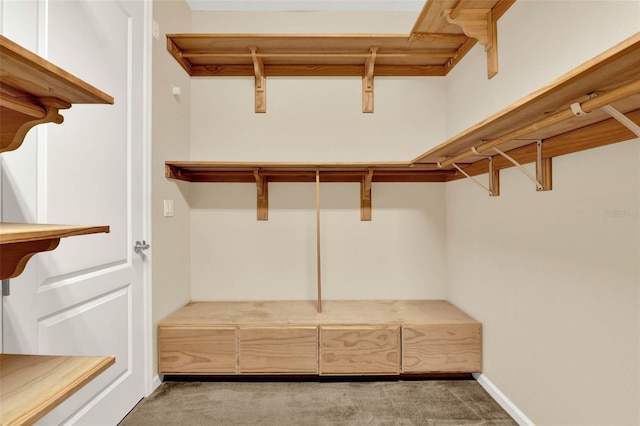 spacious closet featuring light carpet