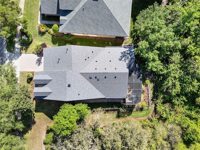 bird's eye view