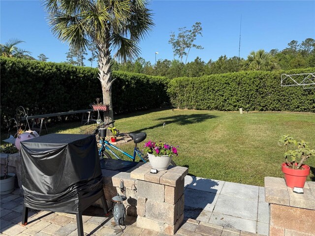 3154 NE 101st Ct, Silver Springs, FL 34488 - photo 12
