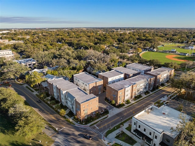 drone / aerial view