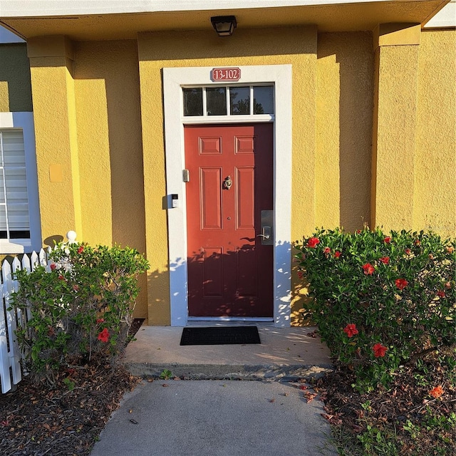 doorway to property featuring stucco siding
