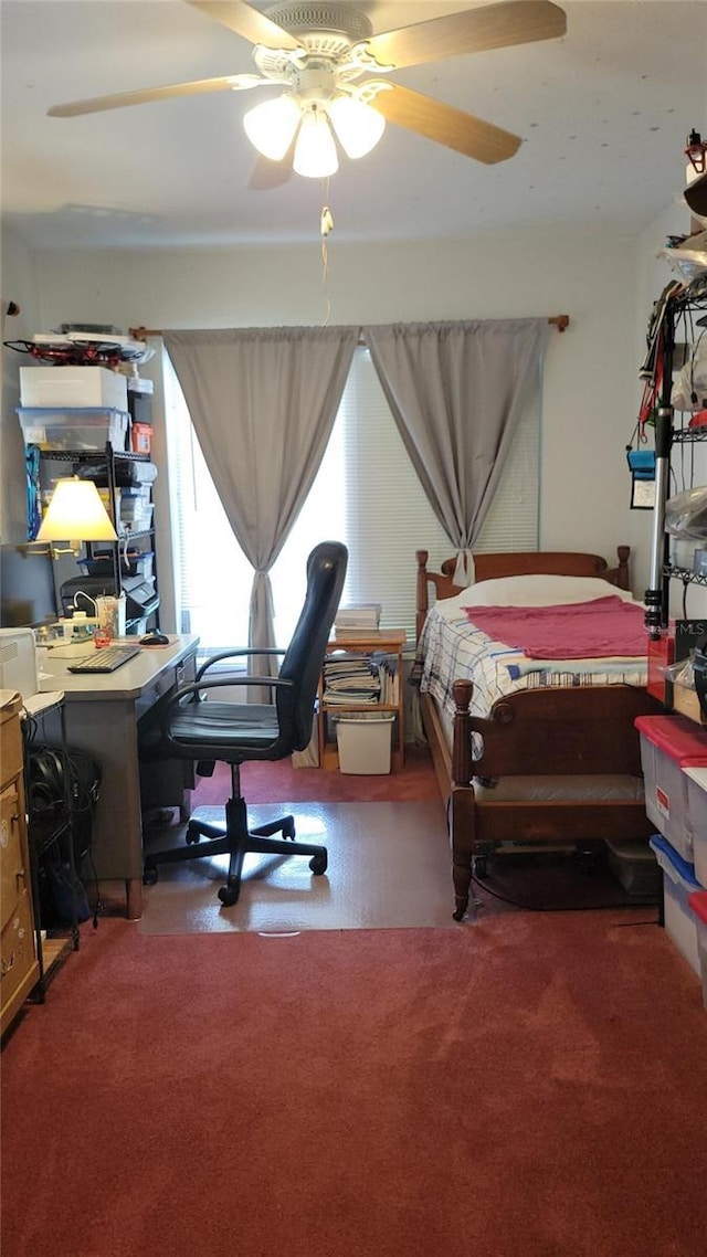 6639 Renaldo Way S, Saint Petersburg, FL 33707 - carpeted bedroom with ceiling fan