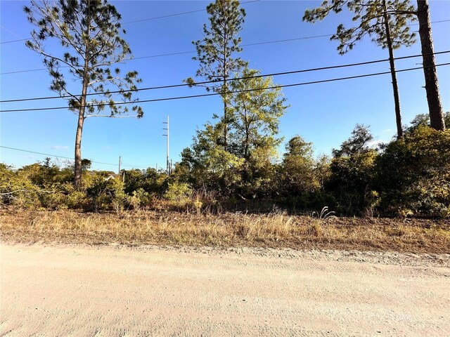1190 9th Ave, Deland, FL 32724 - photo 5