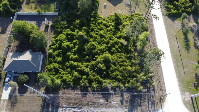1190 9th Ave, Deland, FL 32724 - photo 11