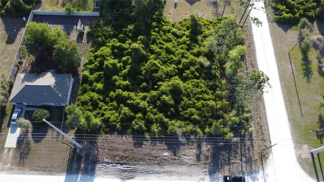 1190 9th Ave, Deland, FL 32724 - photo 12
