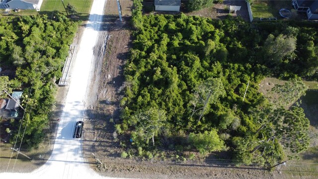 1190 9th Ave, Deland, FL 32724 - photo 14