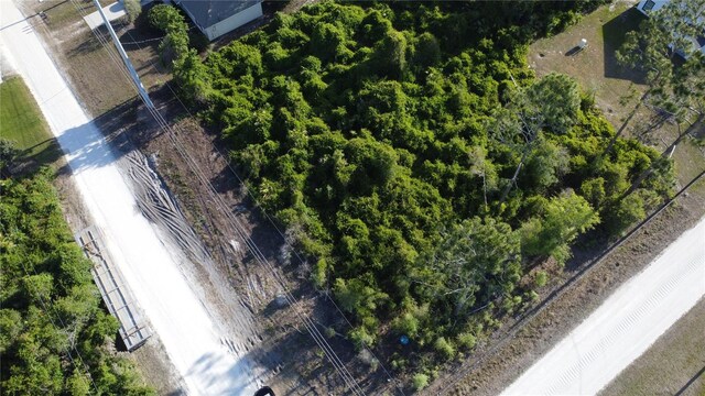 1190 9th Ave, Deland, FL 32724 - photo 15