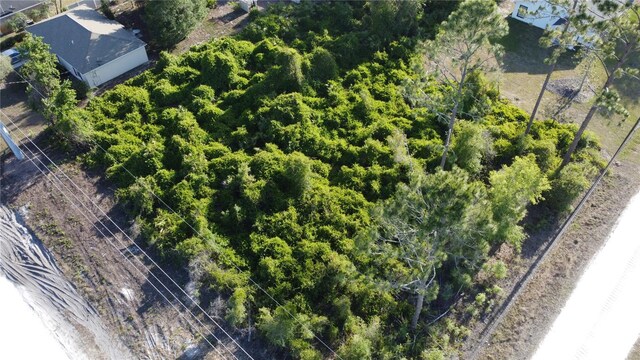 1190 9th Ave, Deland, FL 32724 - photo 16