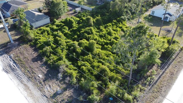 1190 9th Ave, Deland, FL 32724 - photo 17