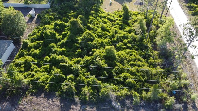 1190 9th Ave, Deland, FL 32724 - photo 18