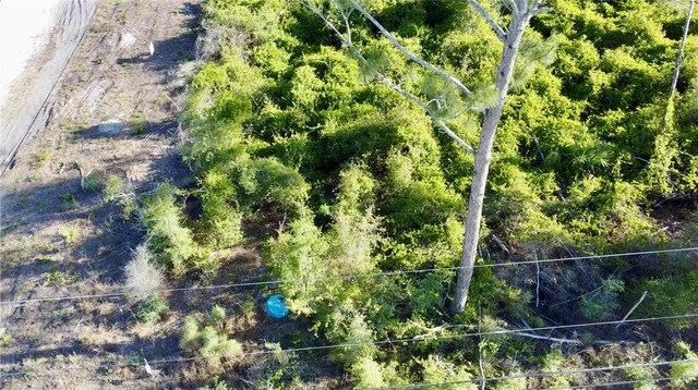 1190 9th Ave, Deland, FL 32724 - photo 30
