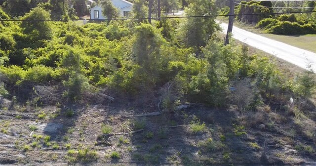 1190 9th Ave, Deland, FL 32724 - photo 35