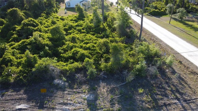 1190 9th Ave, Deland, FL 32724 - photo 40