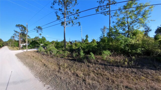 1190 9th Ave, Deland, FL 32724 - photo 42