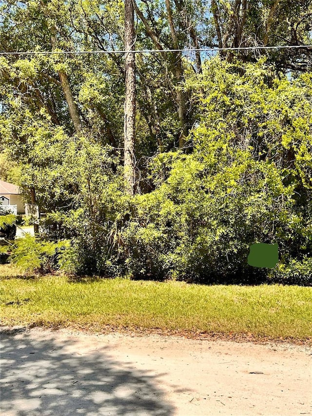 12th St, Orange City, FL 32763 - photo 1