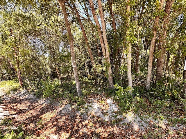 12th St, Orange City, FL 32763 - photo 2