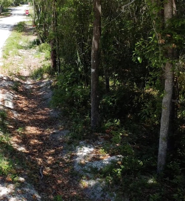 12th St, Orange City, FL 32763 - photo 3