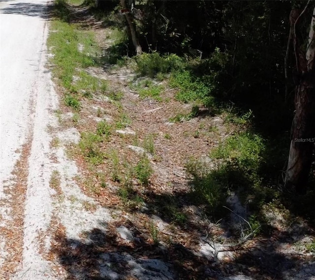12th St, Orange City, FL 32763 - photo 5