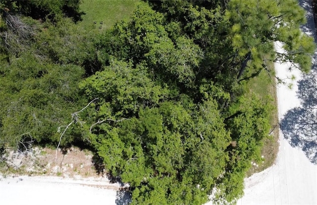 12th St, Orange City, FL 32763 - photo 8