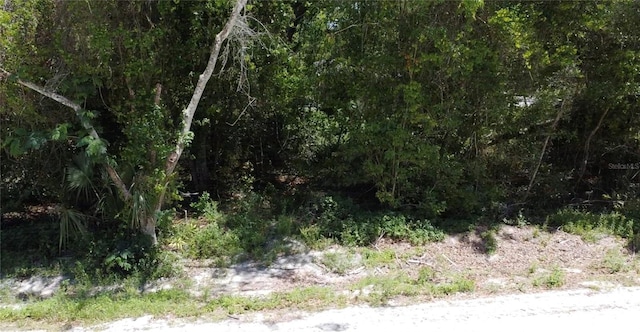 12th St, Orange City, FL 32763 - photo 11