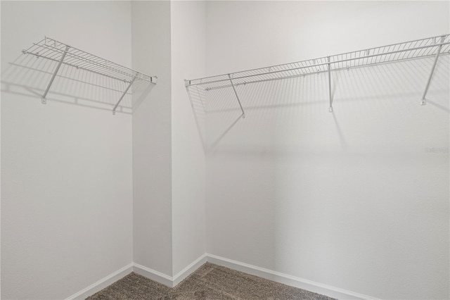 walk in closet featuring carpet