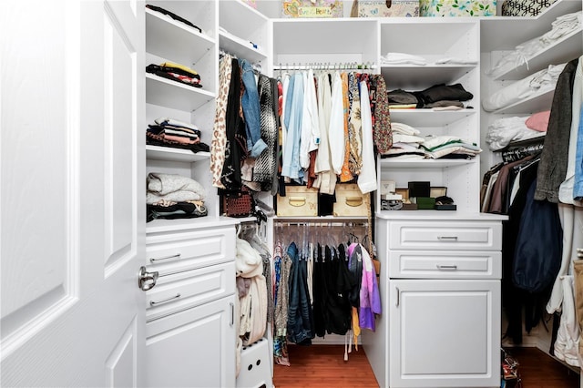spacious closet with wood finished floors