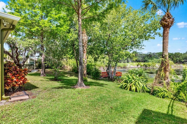 view of yard