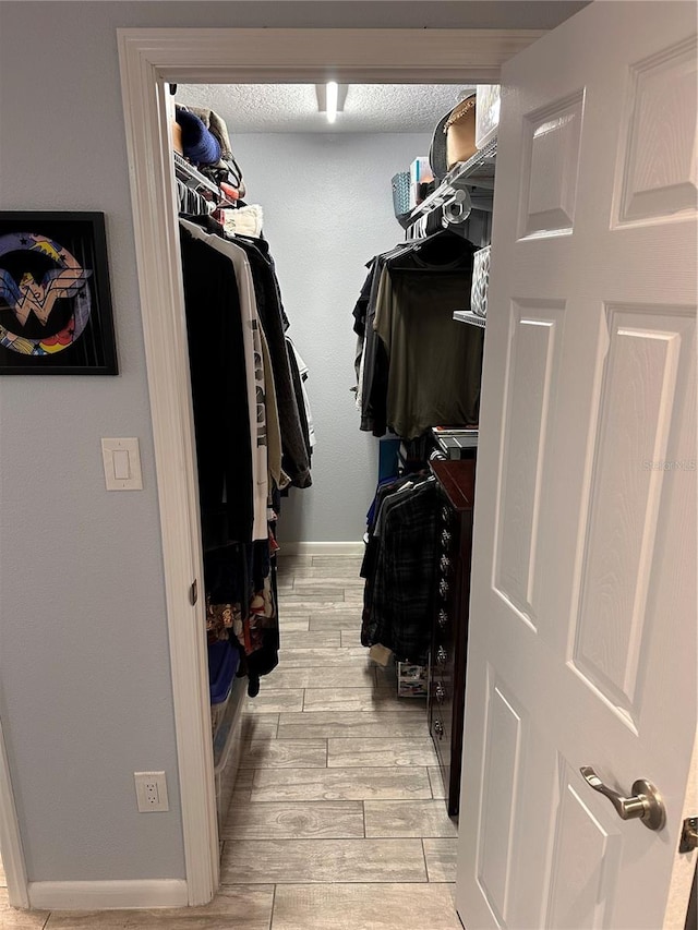 4800 S Semoran Blvd Unit 101, Orlando, FL 32822 - walk in closet with light wood-type flooring