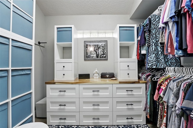 view of walk in closet