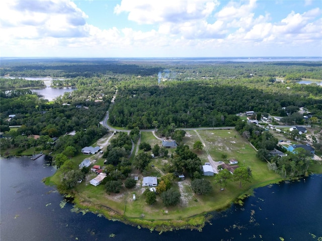 407 Sheryl Dr, Deltona, FL 32738 - bird's eye view with a view of trees and a water view