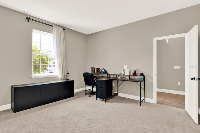 office featuring baseboards and carpet floors